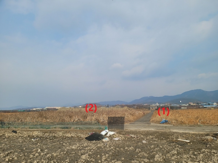 대구 동구 신평동 396 답 사진 3