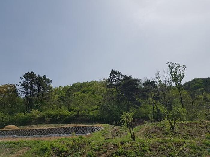 대구 군위군 효령면 병수리 산72-1 임야 사진 3