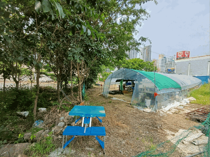 대구 달성군 다사읍 매곡리 693-2 유지 사진 3