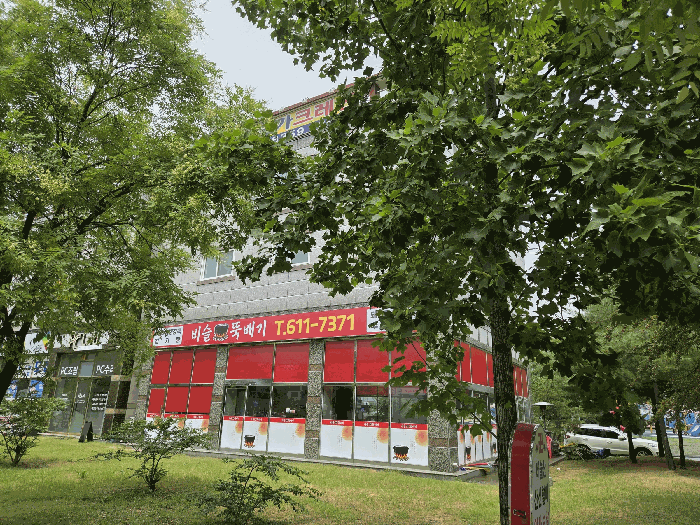 대구 달성군 유가읍 봉리 576-6 상가주택 사진 5